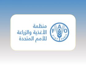 وظائف منظمة الأغذية والزراعة فاو مصر